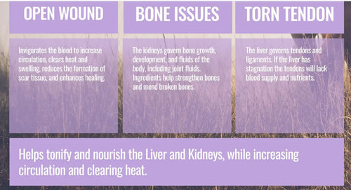 Graphic detailing benefits of ActivateQi Repair by Rodeo Road Essentials, focusing on open wounds, bone issues, and torn tendons.