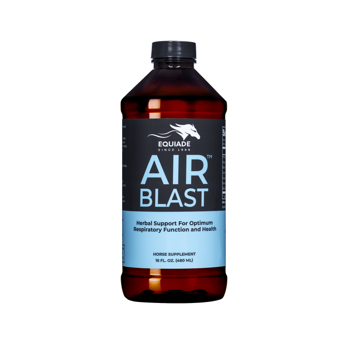 Air Blast™ Horse - Respiratory Support