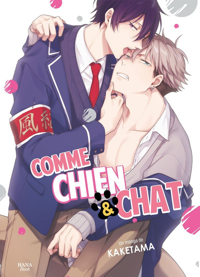 Comme chien et chat