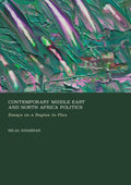 Contemporary Middle East and North Africa Politics: Essays on a Region in Flux