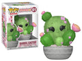FLORA - POP Plants N° 01 - Barrel Cactus