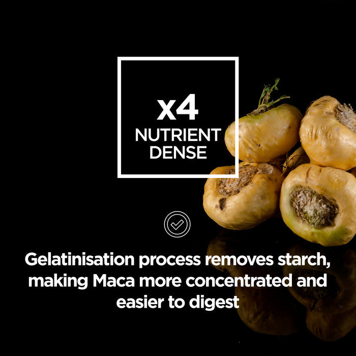Gelatinised Maca Powder 250g organic - Raw Sport
