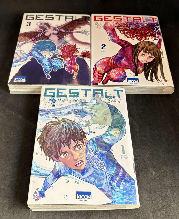 Gestalt T01 à 03