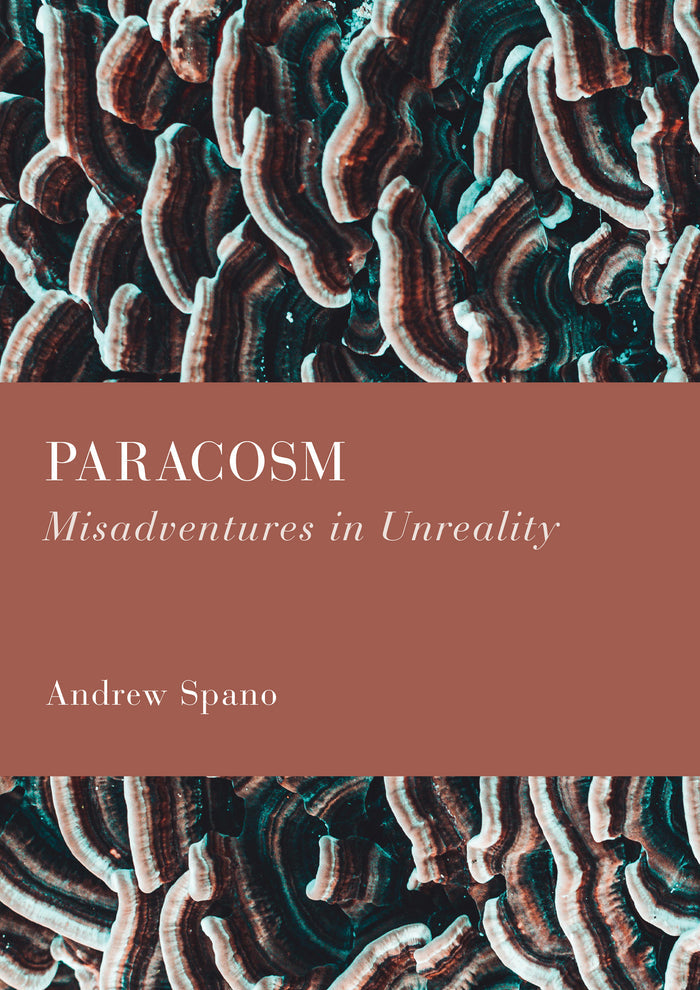 Paracosm: Misadventures in Unreality