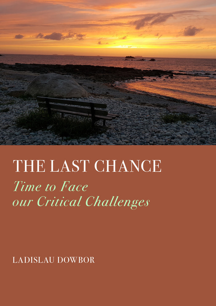 The Last Chance: Time to Face our Critical Challenges